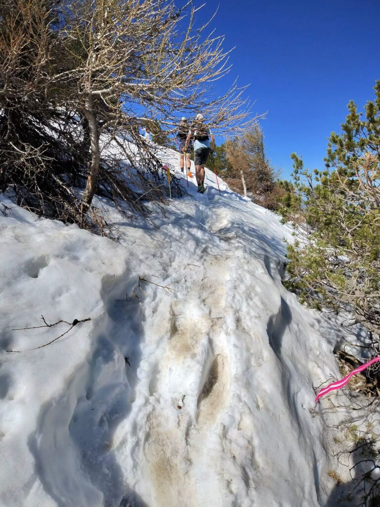 sneeuw op de mont ventoux